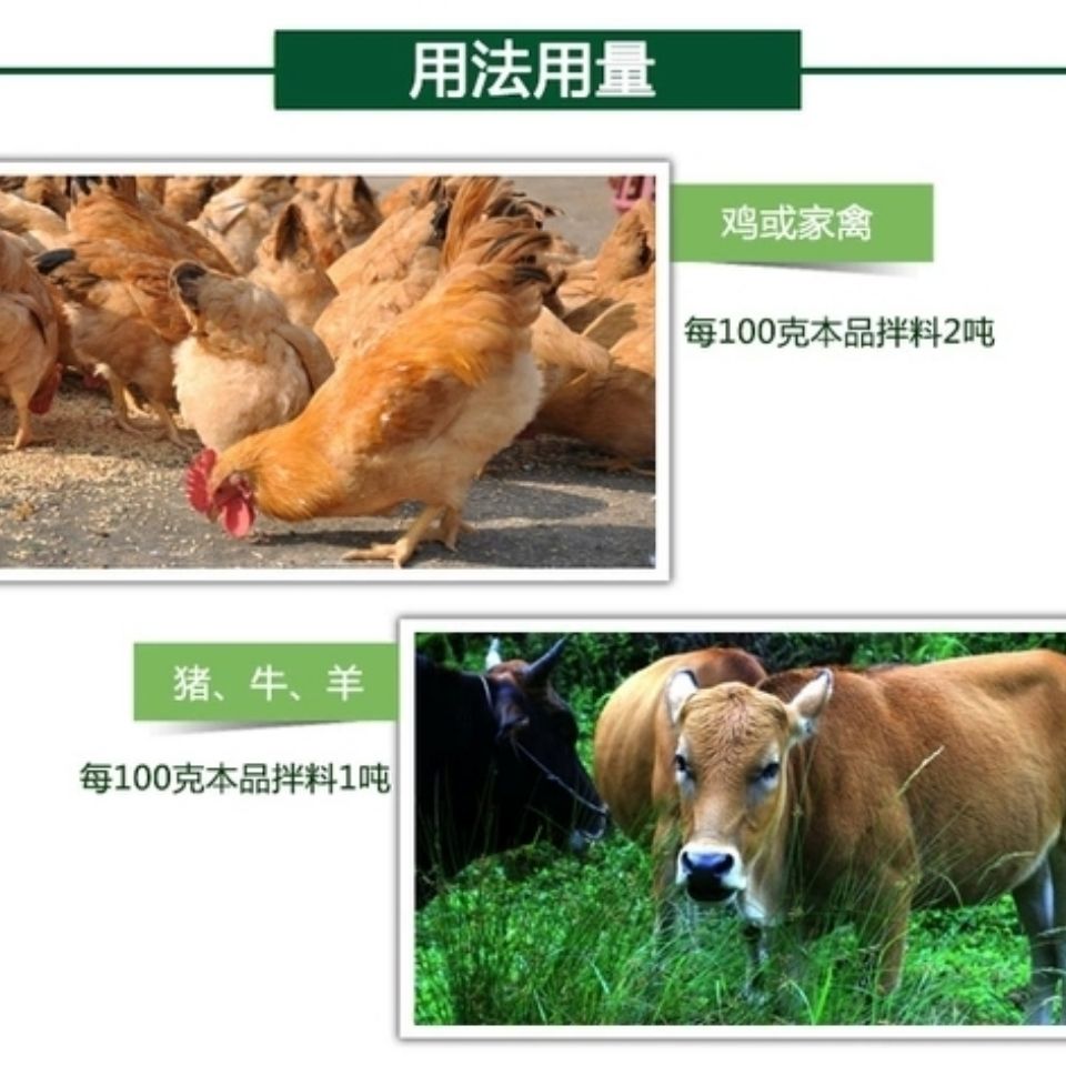 蛆净20%环丙氨嗪 养殖场蚊蝇防控的高效解决方案