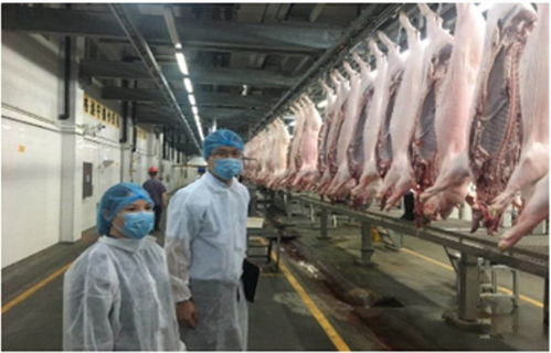 深圳创城新路径 紧抓全程治理，为舌尖安全保驾护航